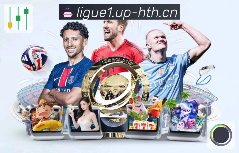 持续创新，稳步领先